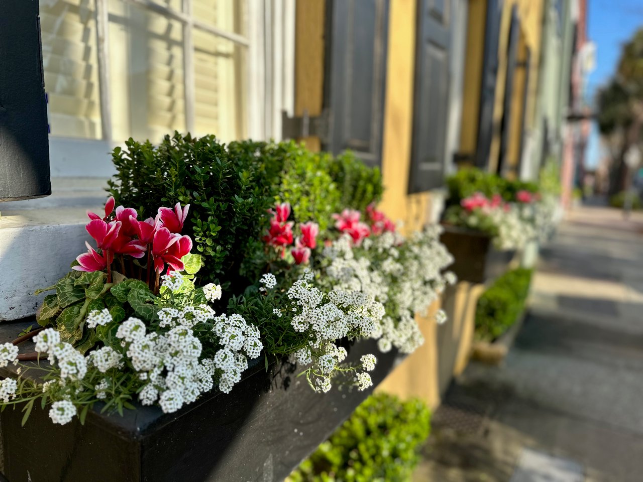 How much does it cost to buy a house in Charleston, SC?