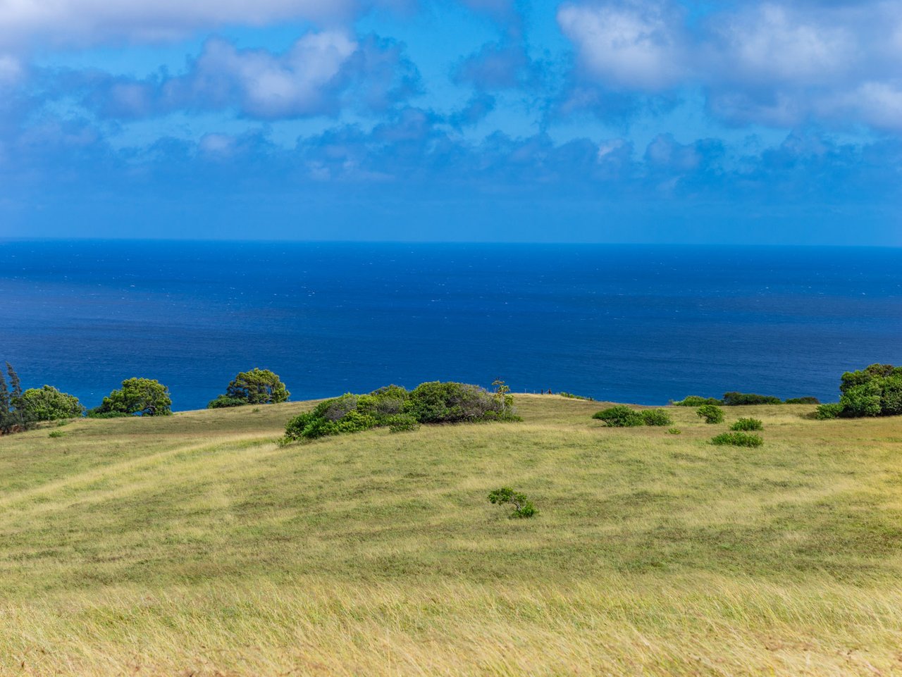 58-248 Kamehameha Hwy