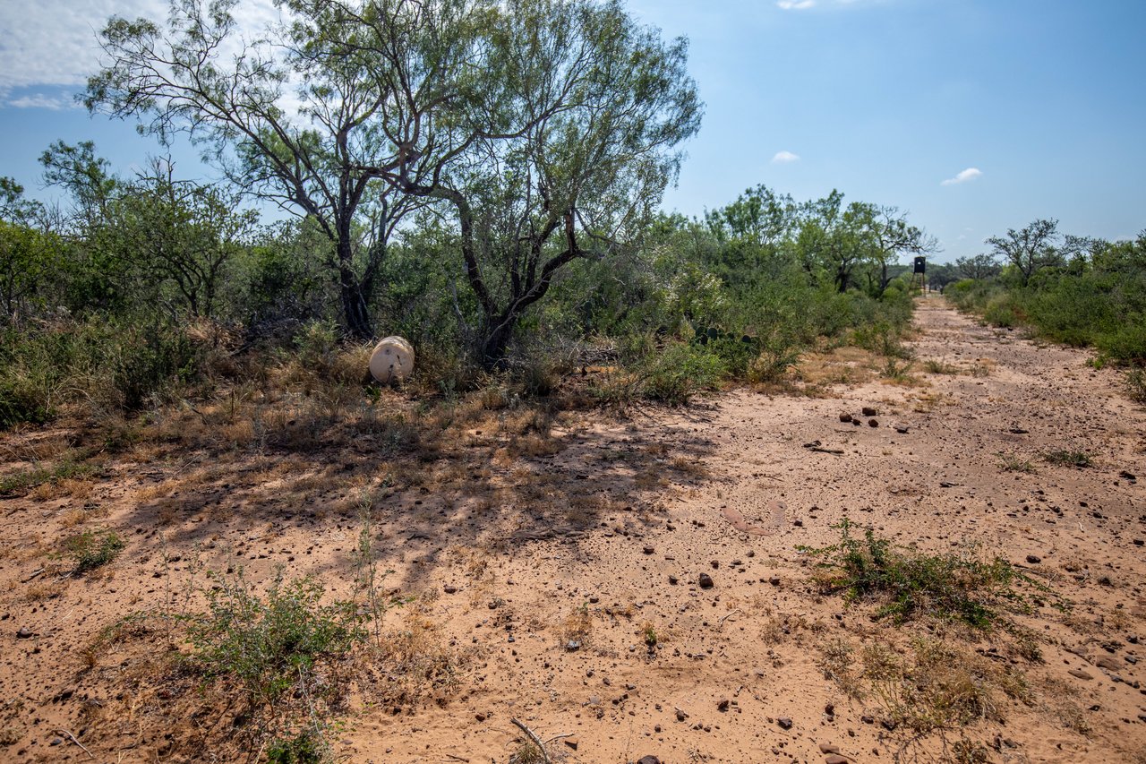 Oaks, Wildlife, & the Quiet of the Countryside | 26.99± Acres | Poteet, TX