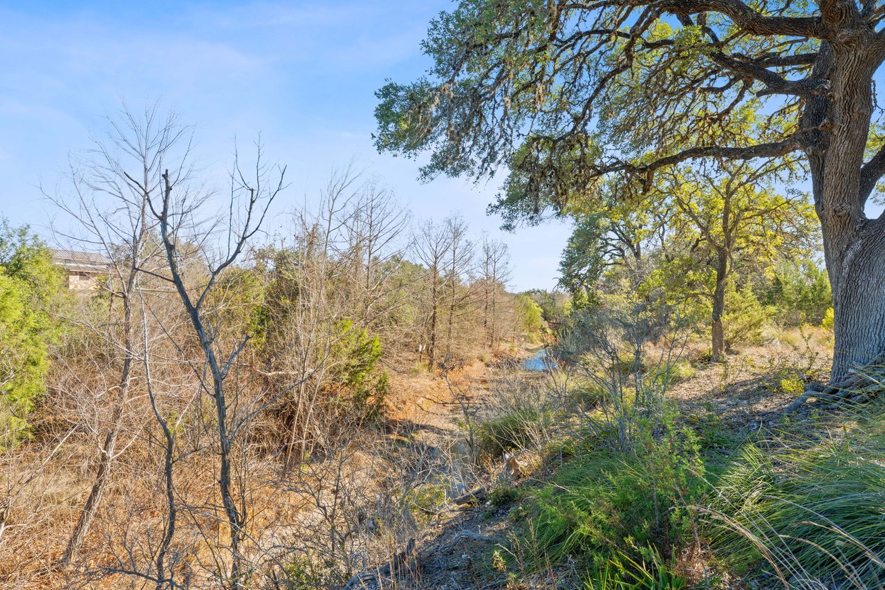 100 Dario Dr. Dripping Springs  Tx 78620