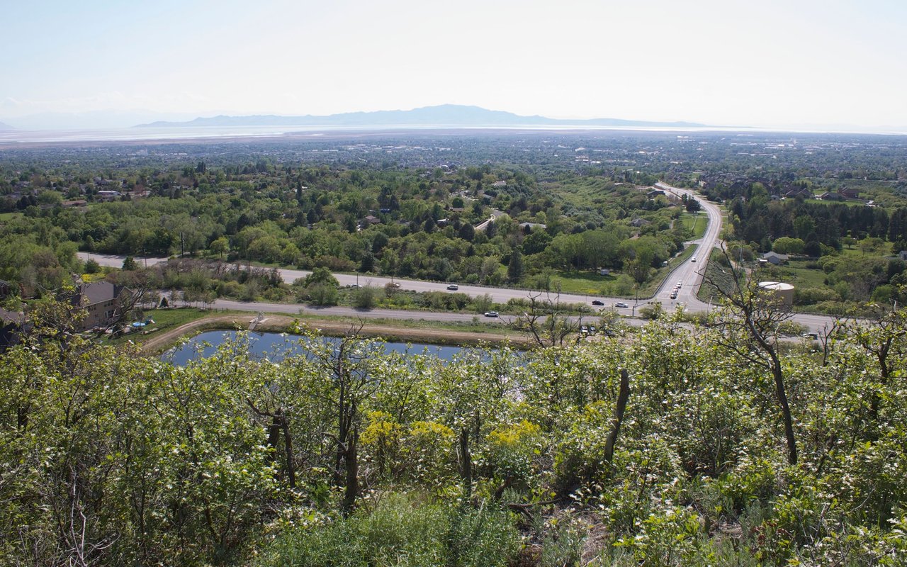 Davis County