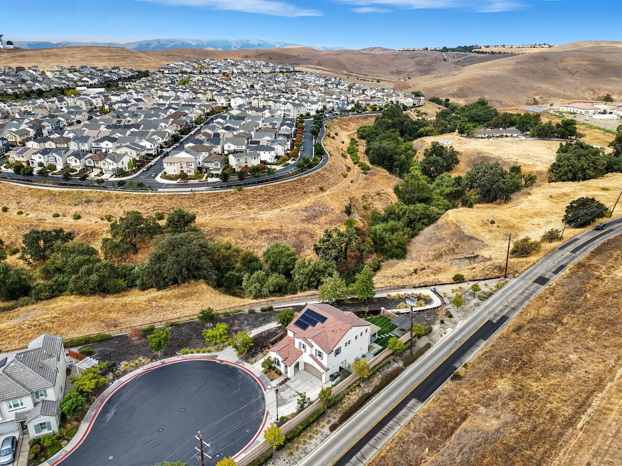 Tim Lewis Enclave Dublin Homes for Sale | Neighborhood Guide