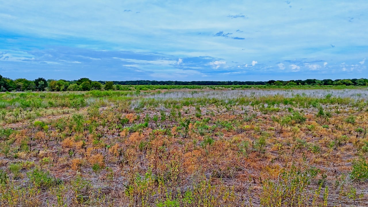 Cross Creek Ranch 