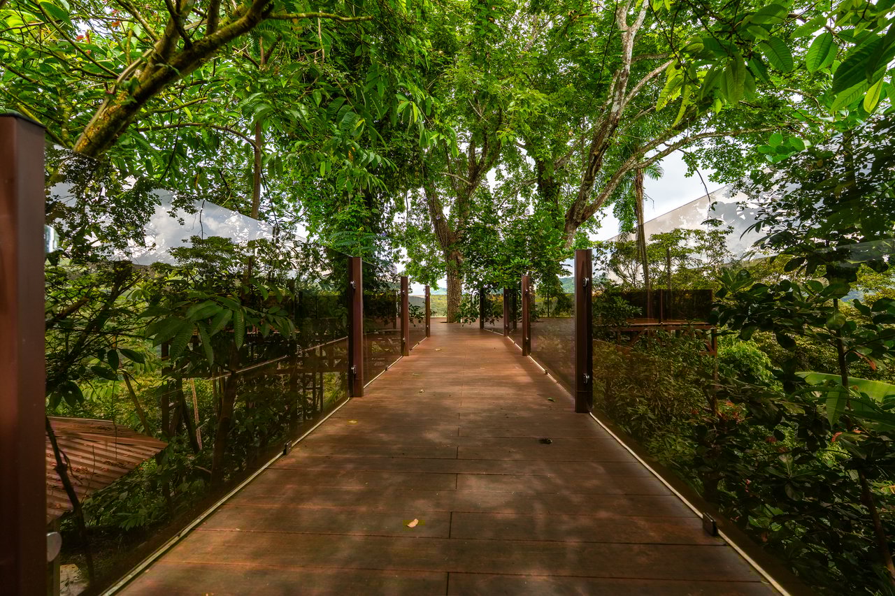 Where the Journey Begins | Private Jungle Estate at Nauyaca Waterfalls