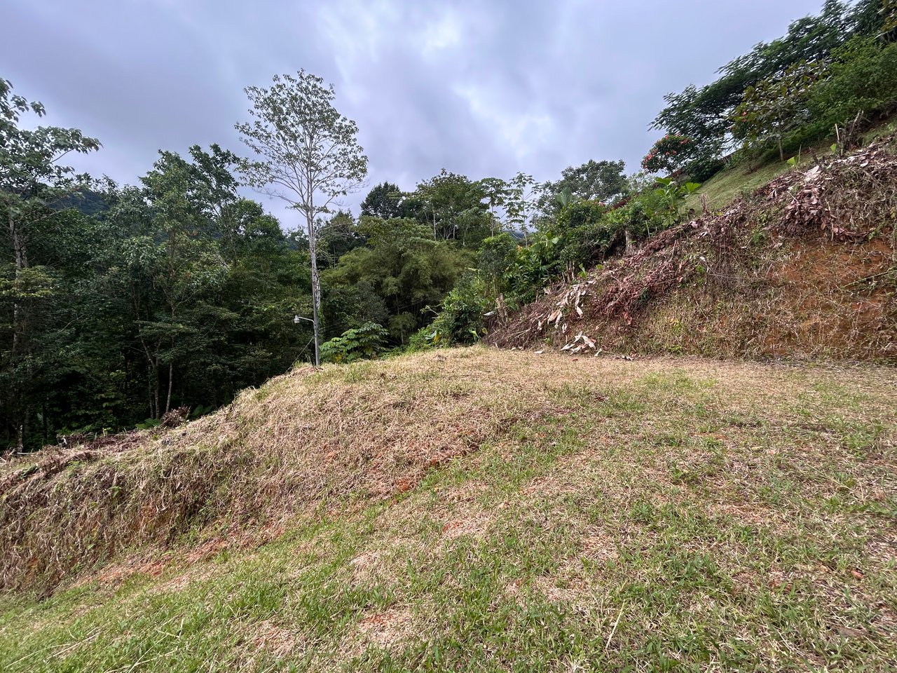 Beautiful Lot in Phase 9 Ojochal, Gated Communuity - NOW WITH LEGAL WATER