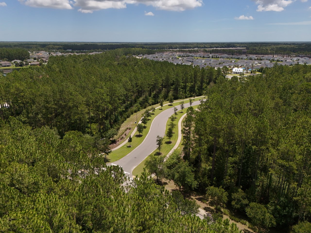 Aerial view of a winding neighborhood road bordered by pine woods, with homes in the distance.