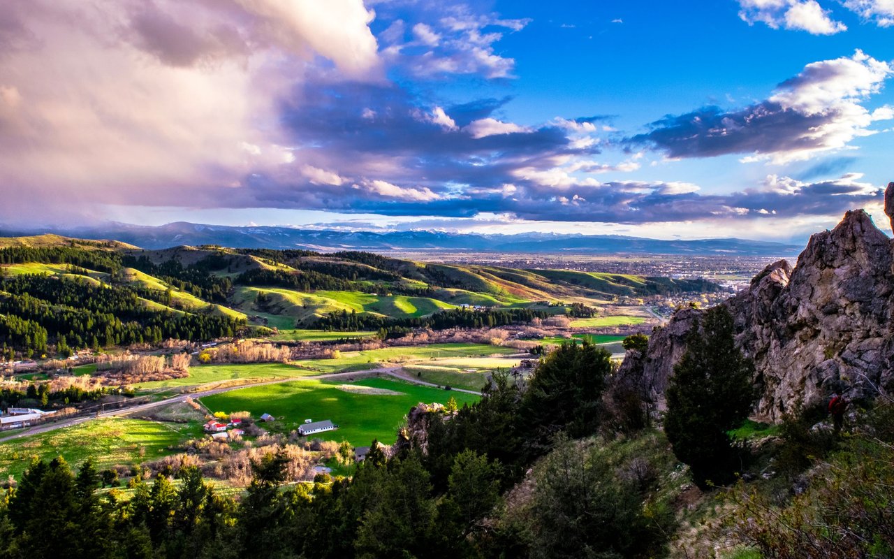 Montana