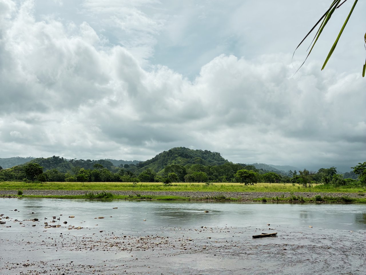 7-Hectare Farm with Teak Plantation, Existing Home & Eco-Development Potential Near Parrita, Costa Rica