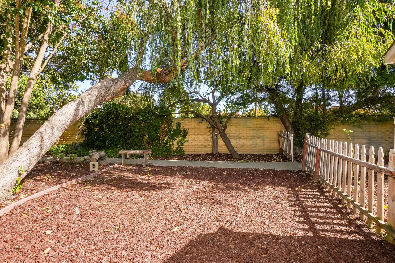 Backyard with mature shade trees, wood-chip ground cover, and a white picket fence.