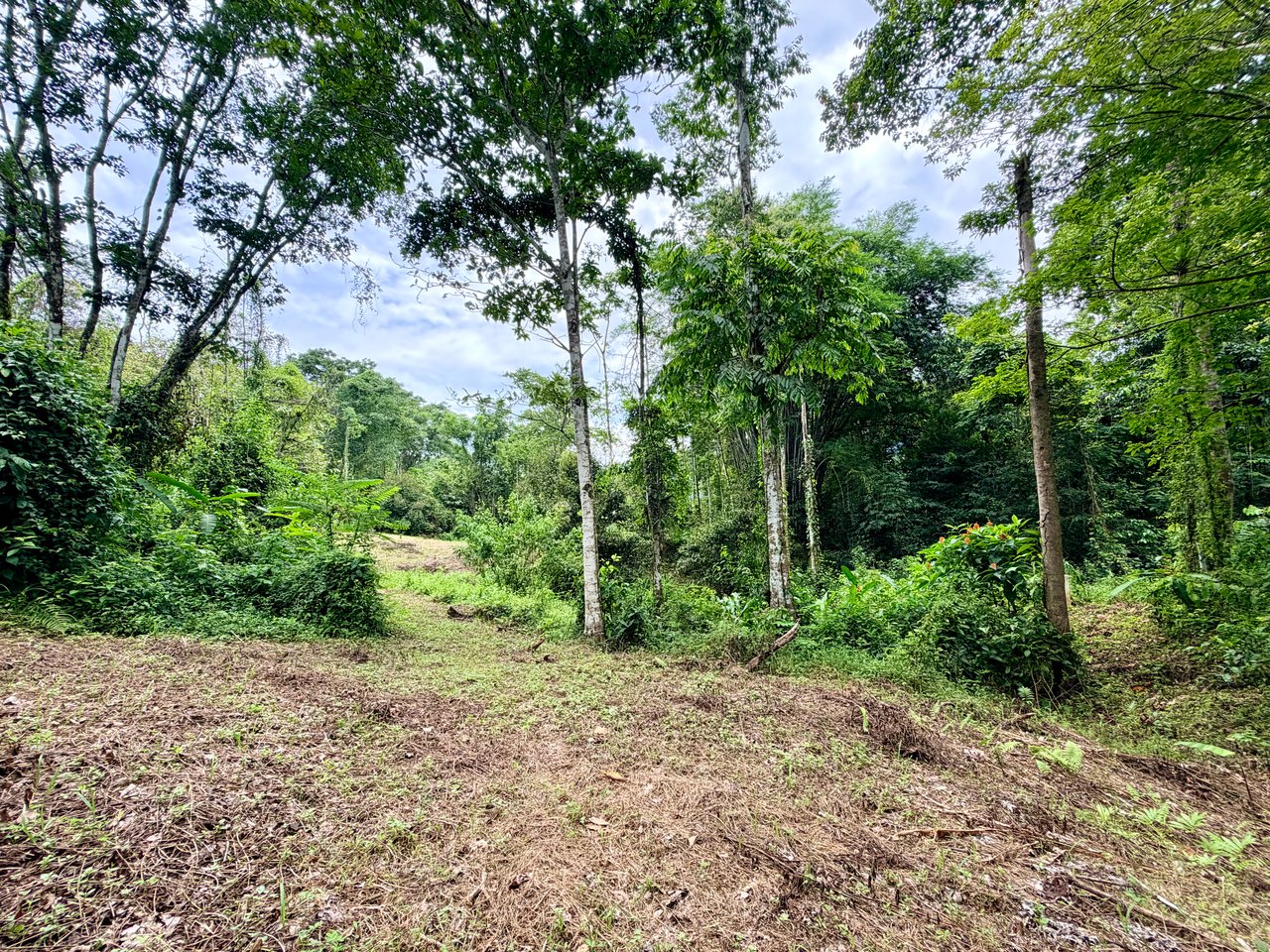 La Unión Road Development – Buildable Lots with River Access in Uvita