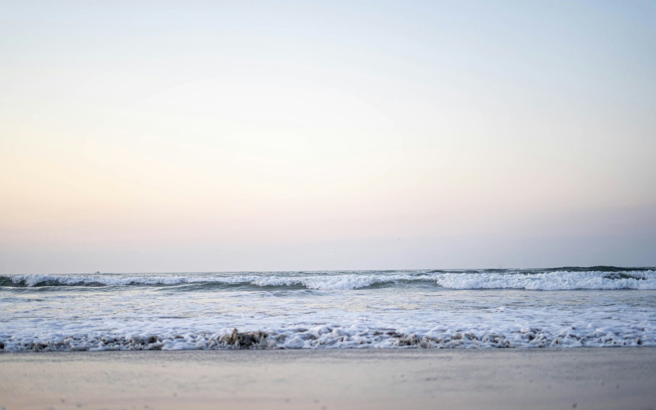 Wildwood