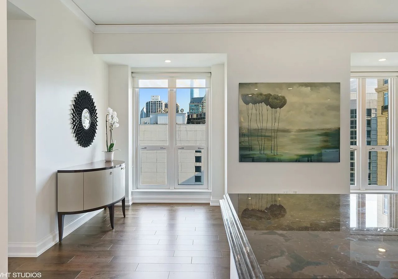 11 E Walton St APT 3201