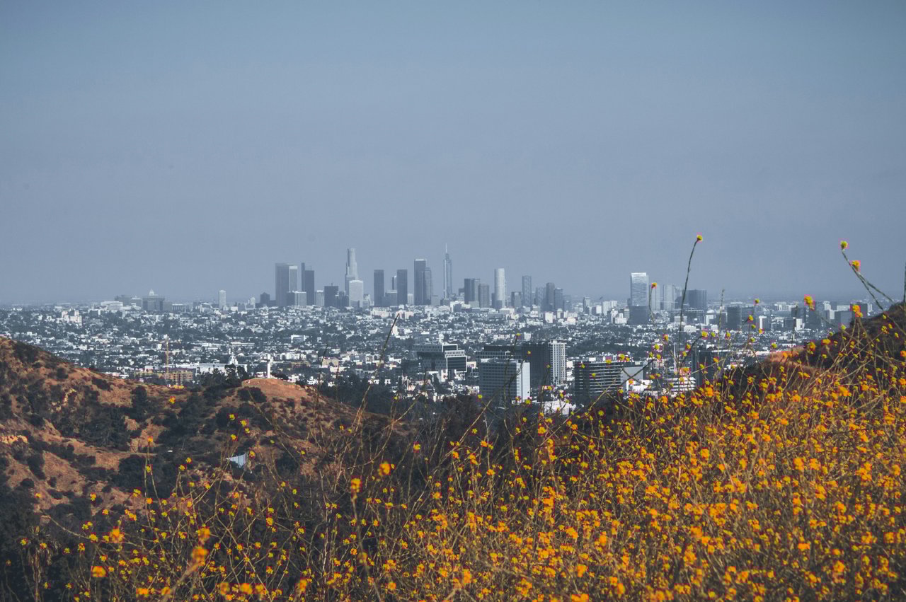 Stay or Go? What LA Buyers and Sellers Need to Know About the Rise in Out-of-Market Moves