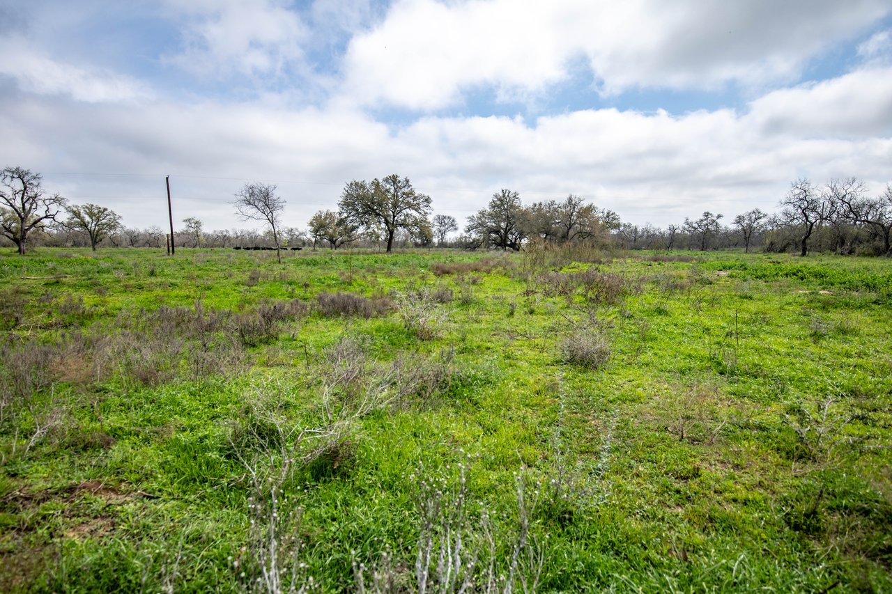 Dry Hollow Creek Ranch | 21.96± Acres | Bexar County