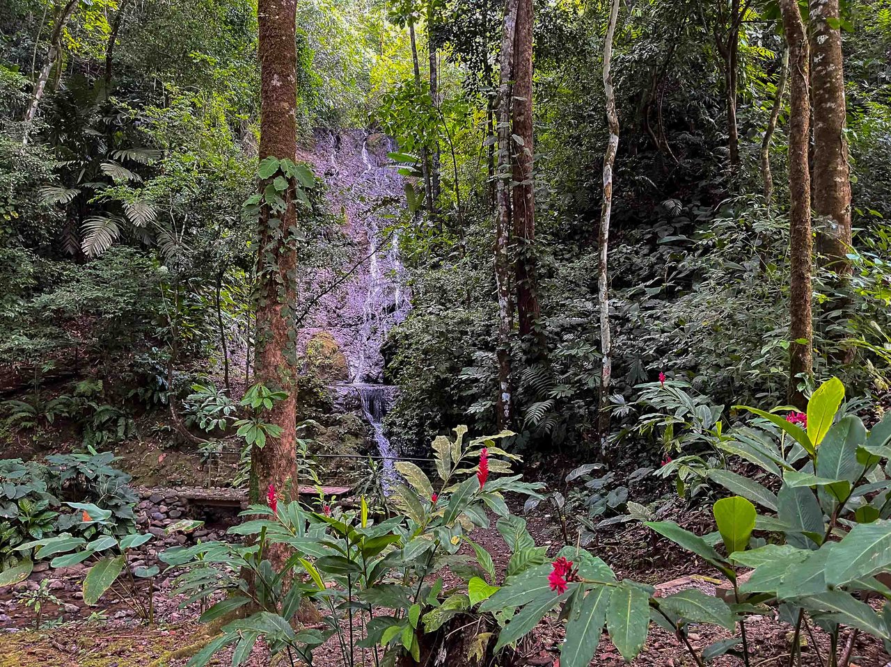 Waterfall Home in Private Community Affordable Jungle Home