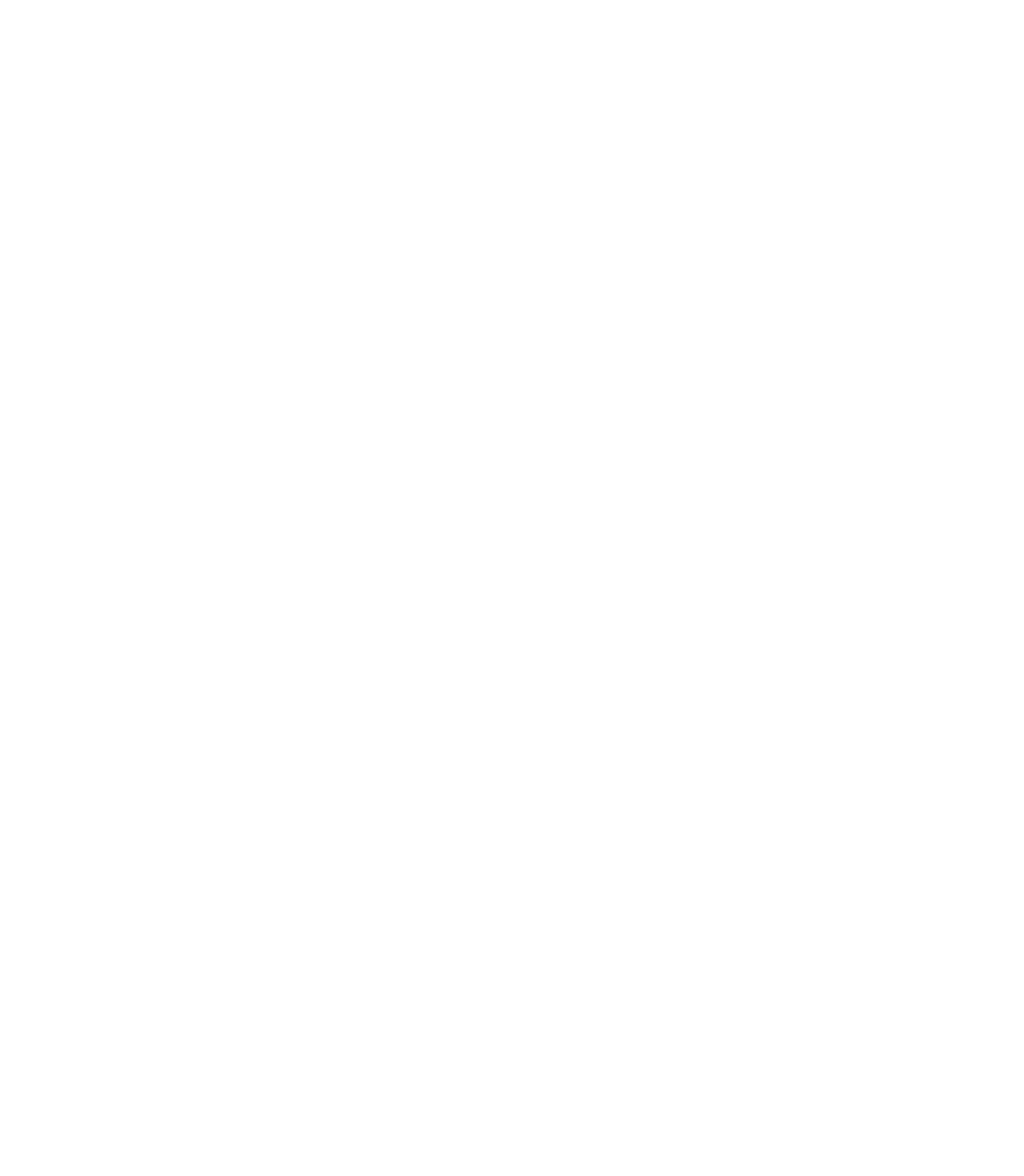 Footer Image