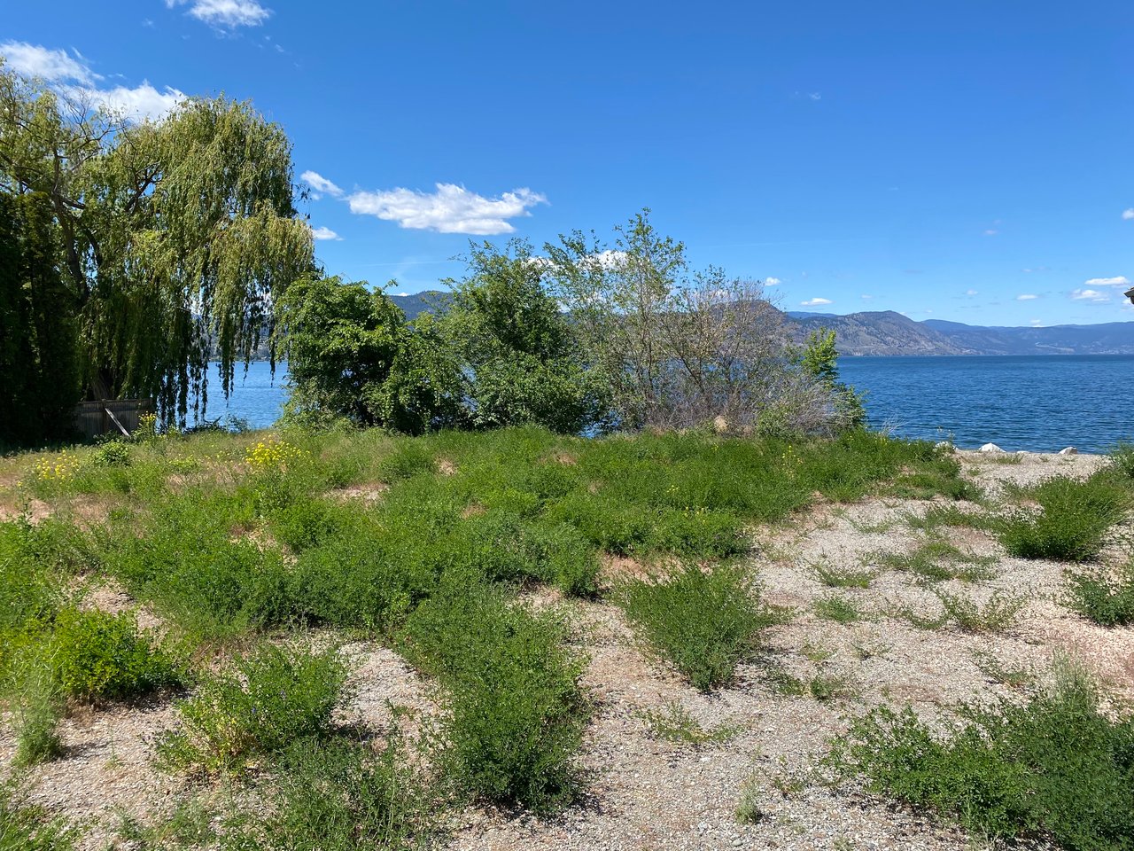 3855 1st Street Lot# 1