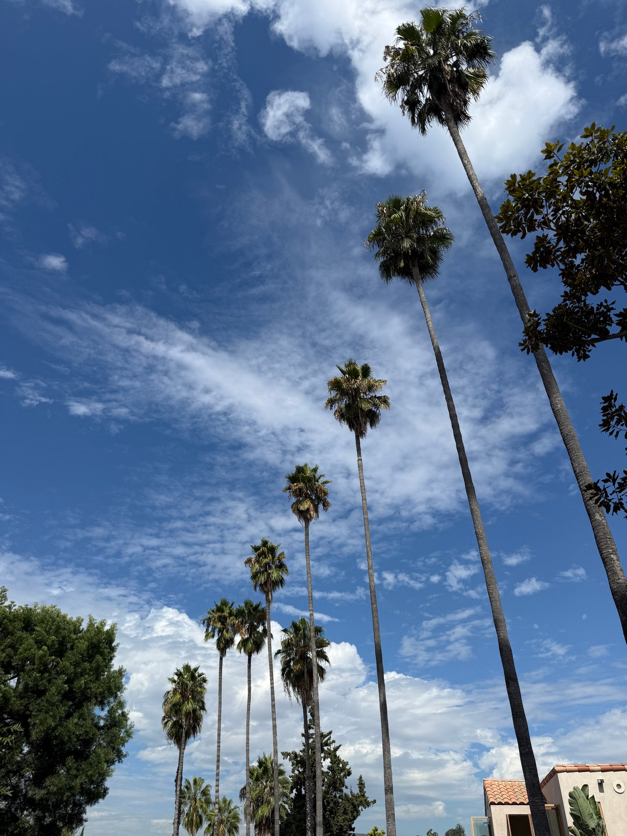 Larchmont Village