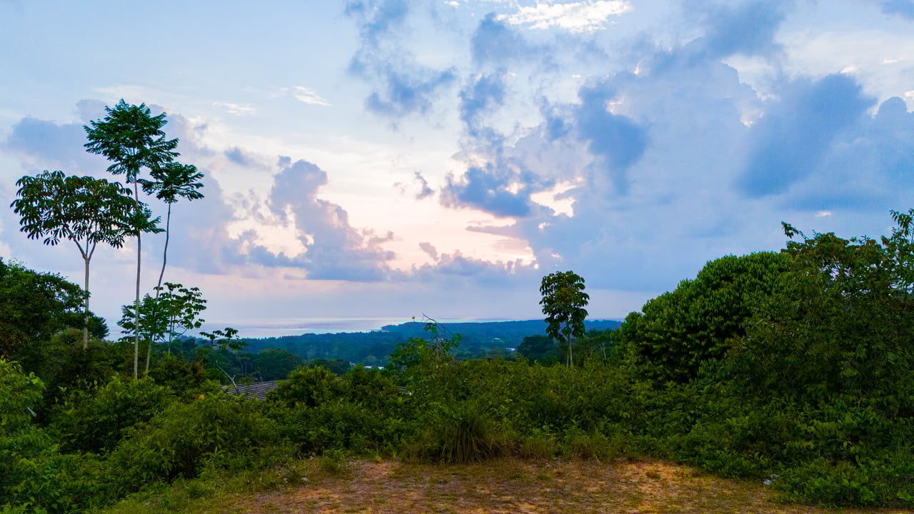Phenomenal Ocean and Whale Tail View Lot In Uvita