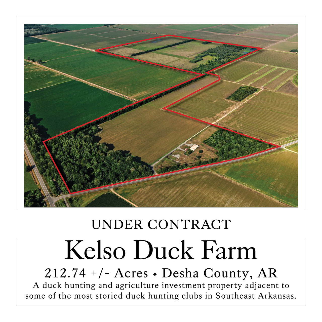 Kelso Duck Farm