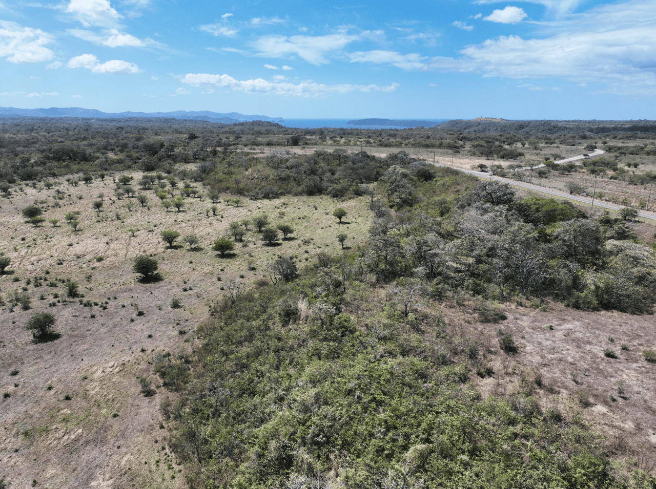 Prime 24 Acre Commercial Lot Near Papagayo Peninsula
