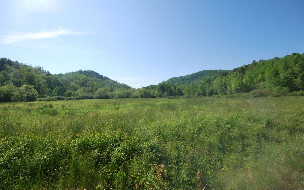 Richland Ridge