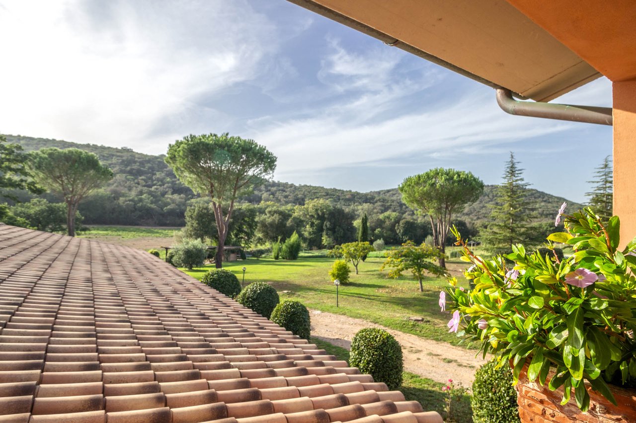 Organic Agriturismo in Roccastrada