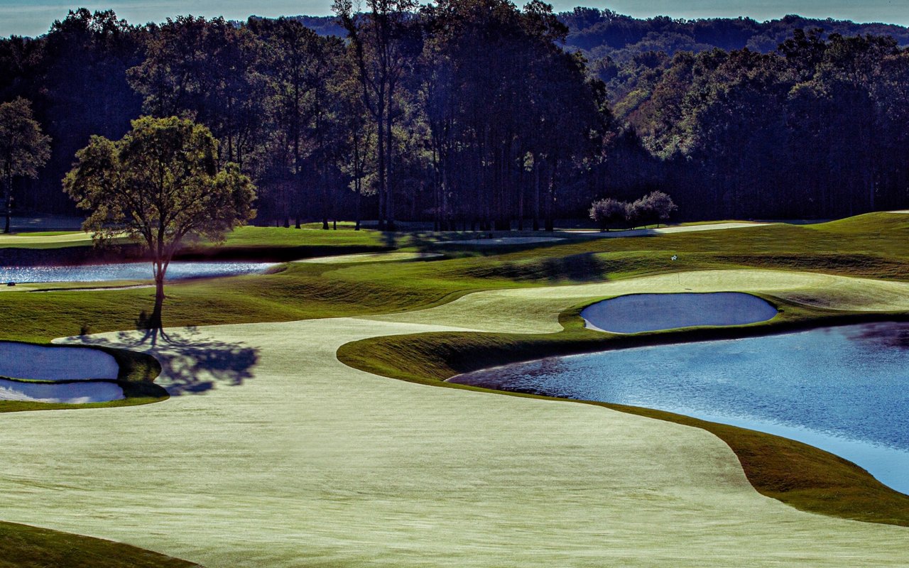 Golf course fairways curve around water hazards beneath a wooded backdrop.
