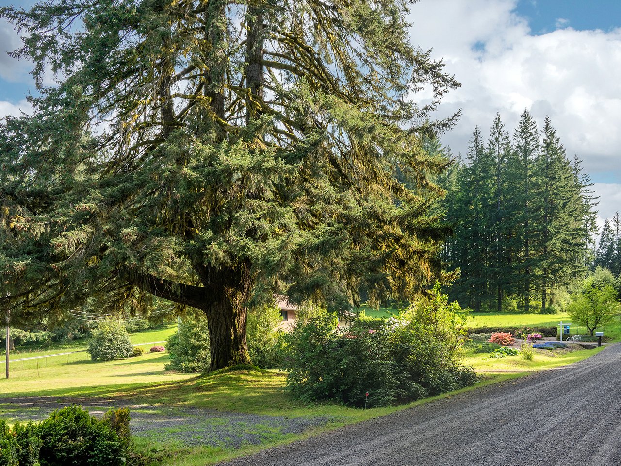 25420 NW PUMPKIN RIDGE RD
