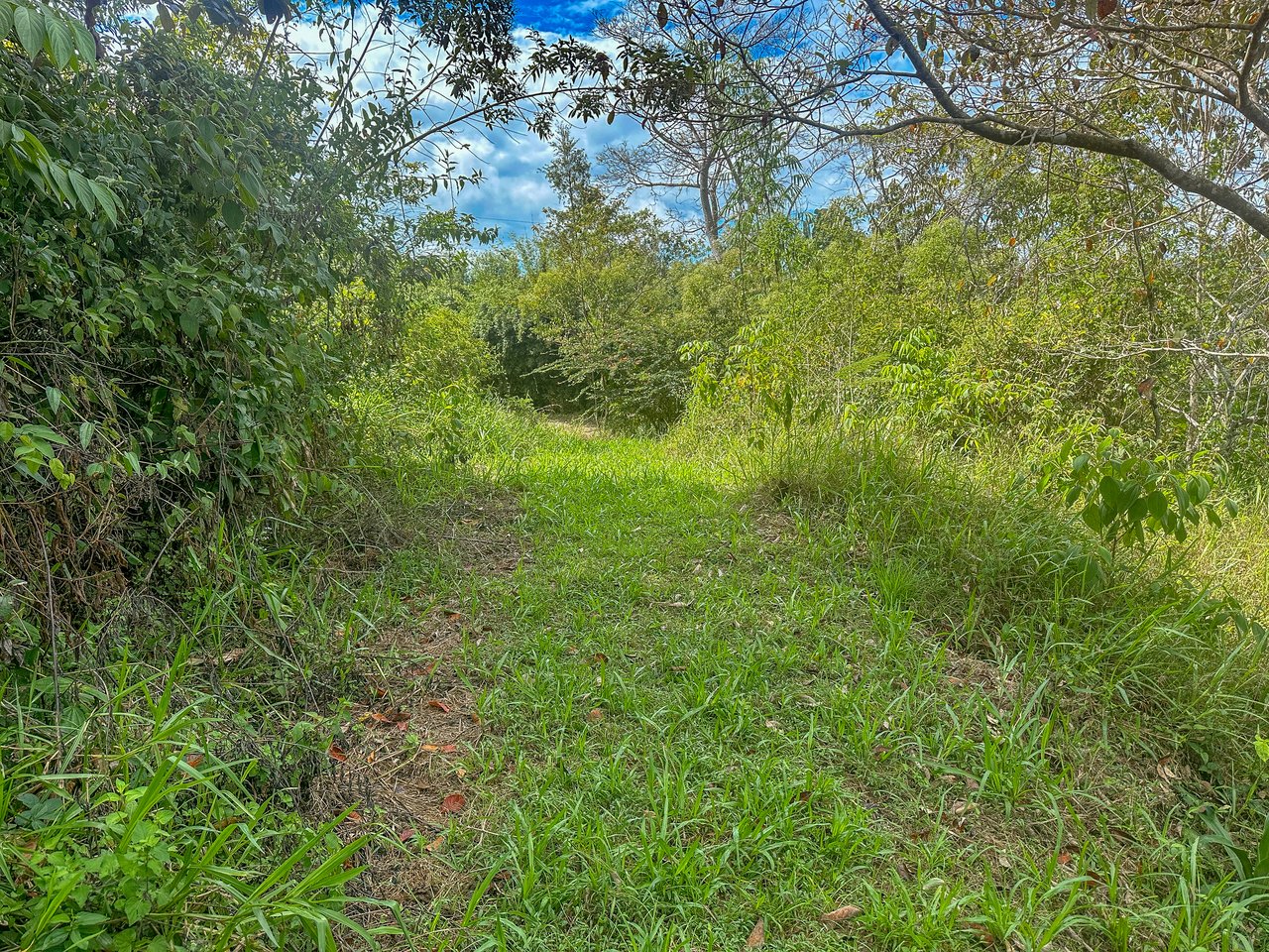 Tinamastes Costa Rica Property with Home, Yoga Deck & Land