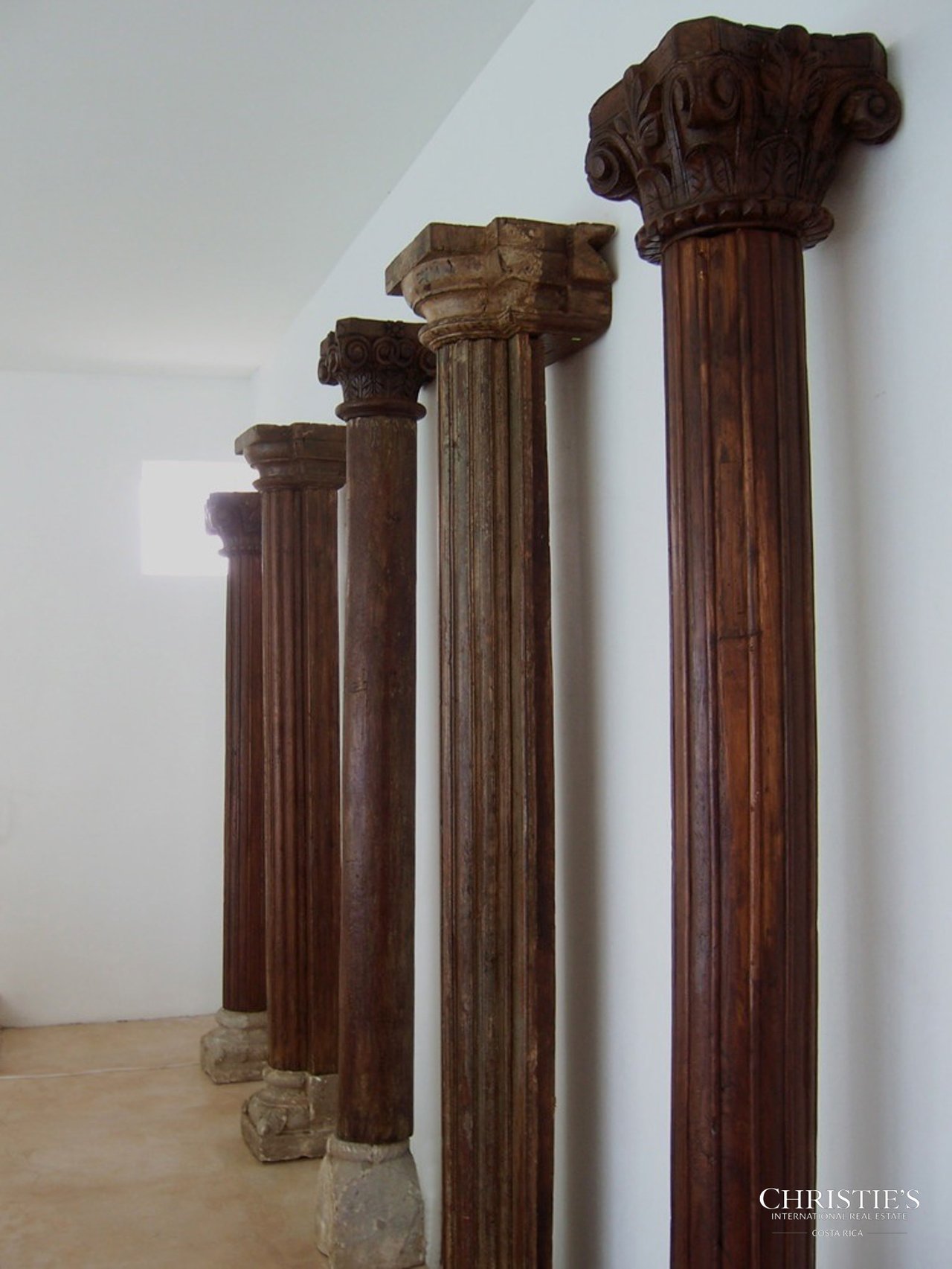 Jungle and Ocean Architectural Masterpiece