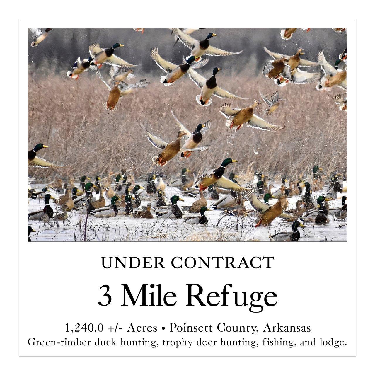 3 Mile Refuge