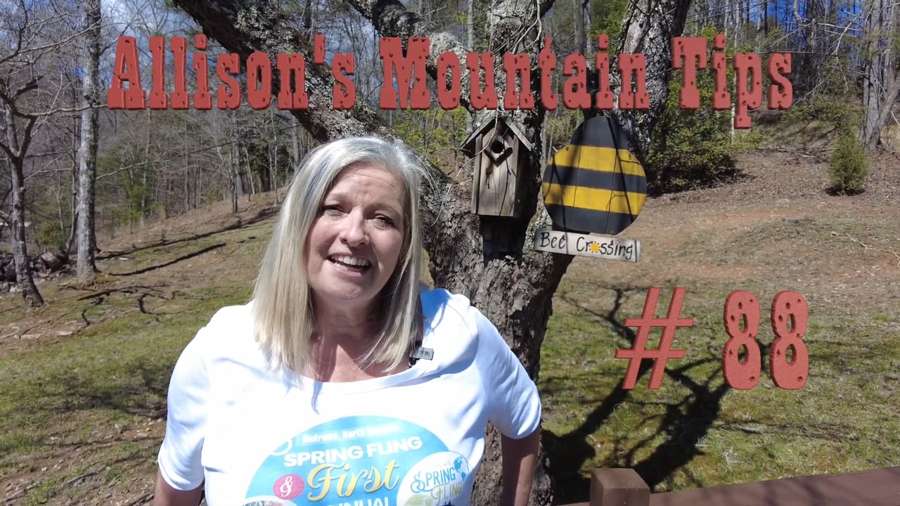 Allison's Mountain Tips #88