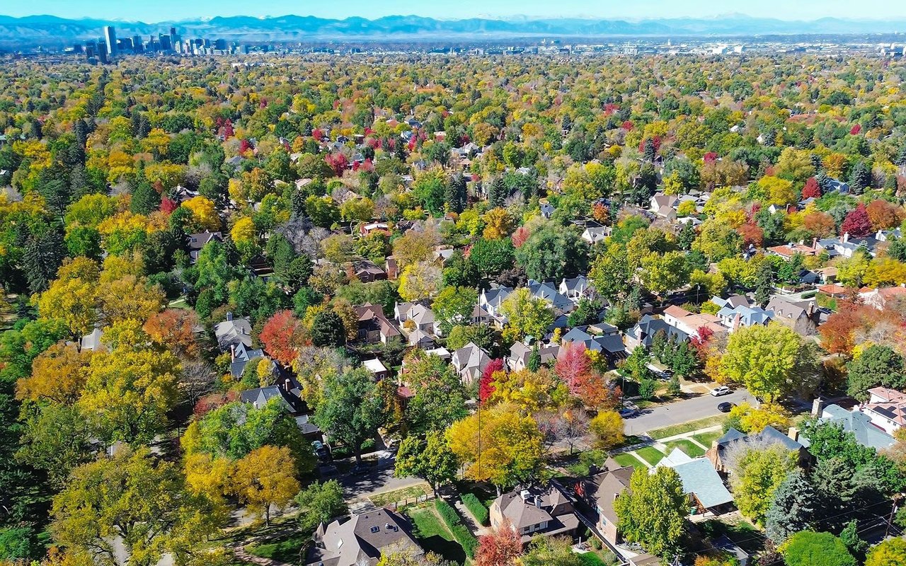 Park Hill