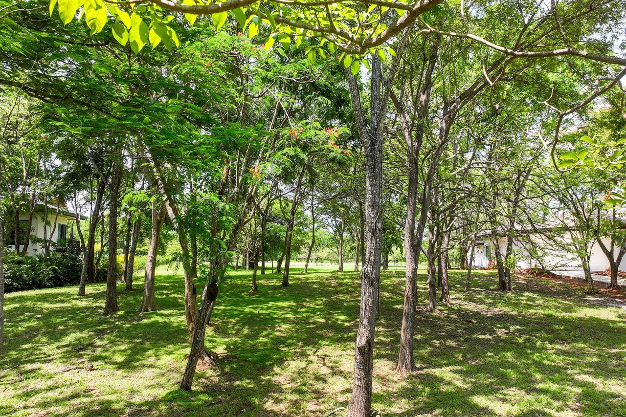 Rare Golf Front Estate Parcel | No HOA | 5,000m² in Hacienda Pinilla