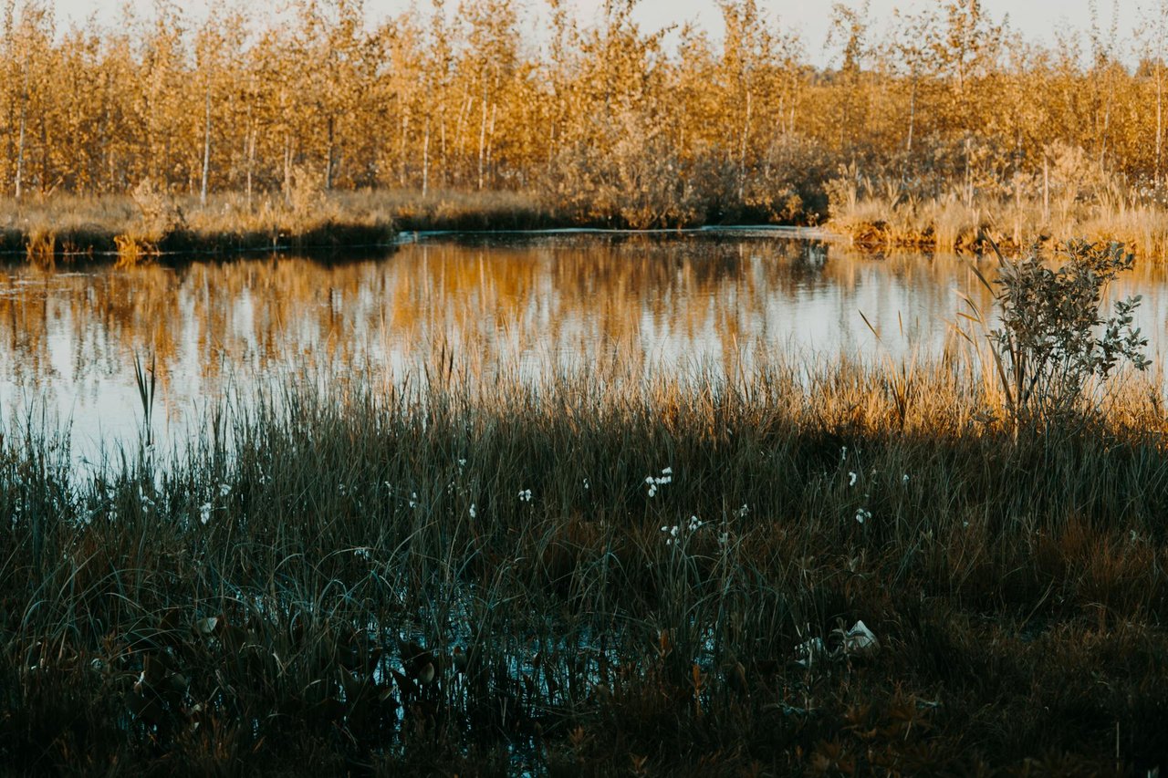 Osterville
