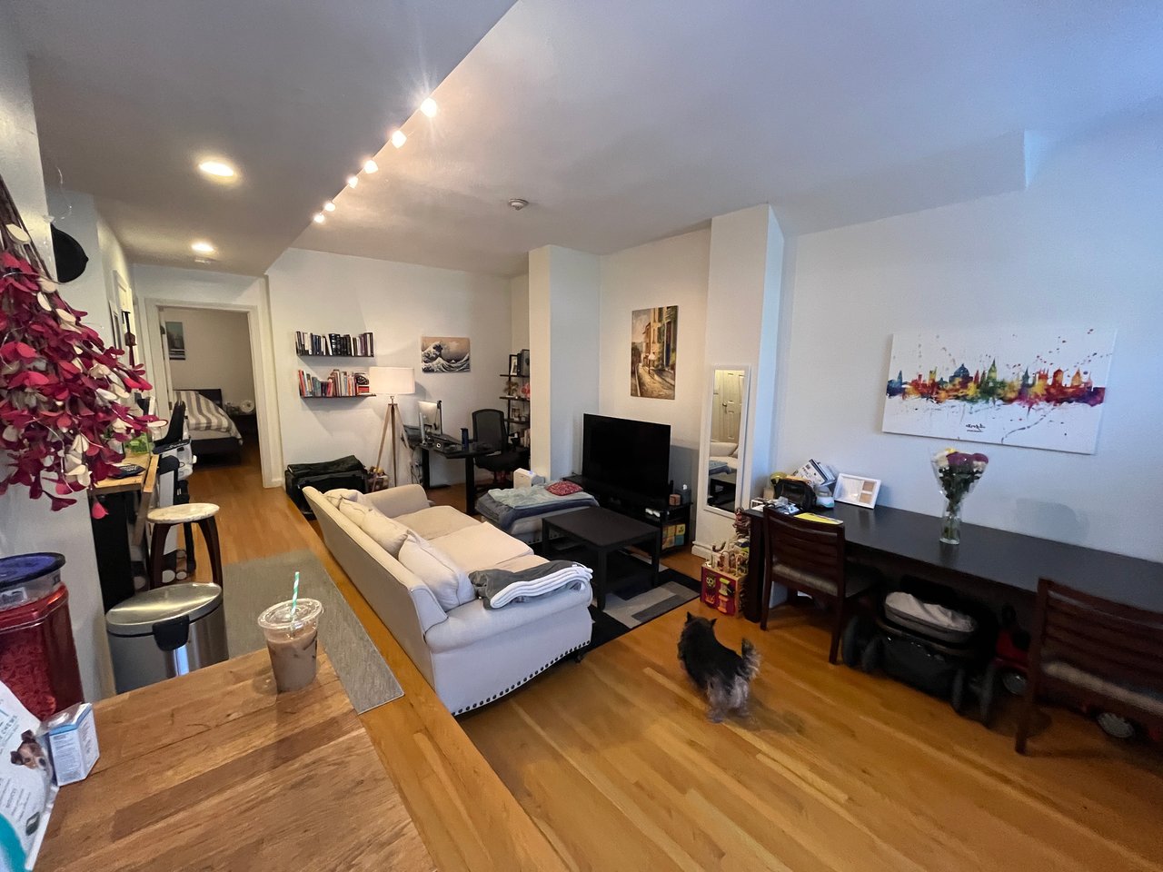 AUGUST - Private Entry 1 bed 1 bath on Back Bay / South End Border - Pets Negotiable! 