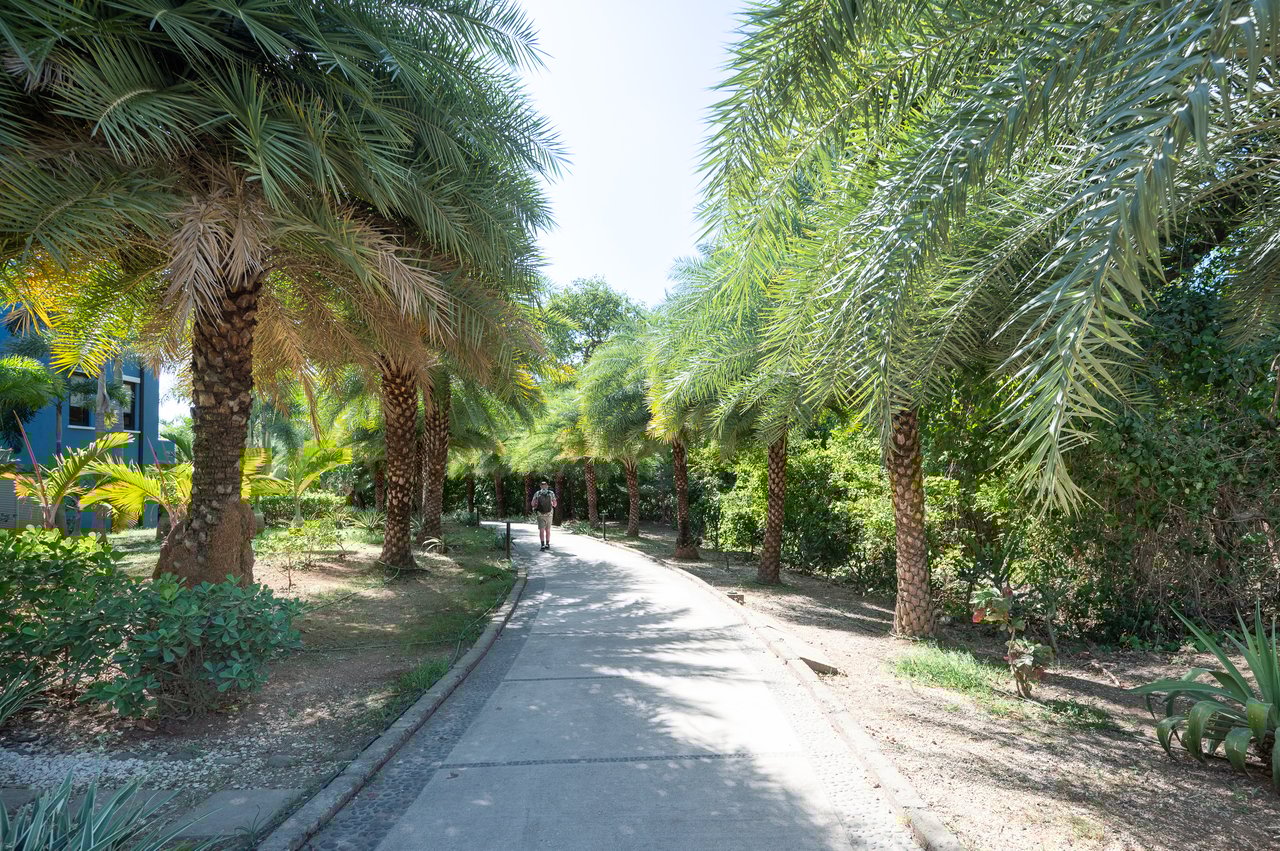 El Prado Lot #18 | Near the Coast Home Construction Site For Sale in Las Catalinas