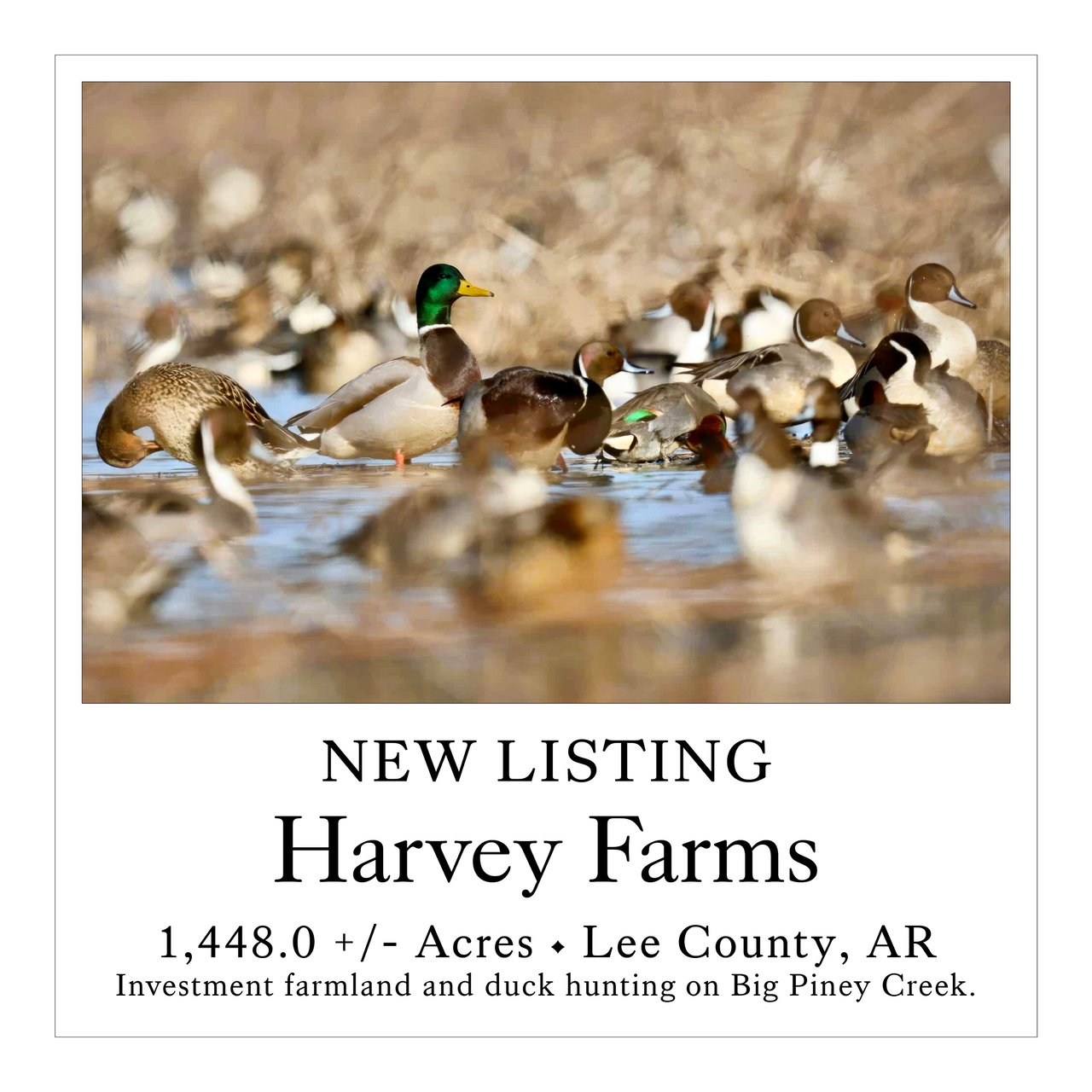 Harvey Farms