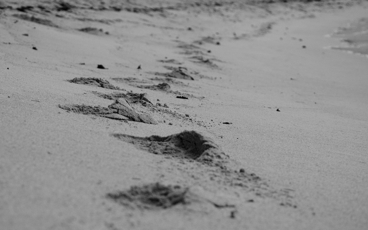 Walking Trails in Boca Grande, FL