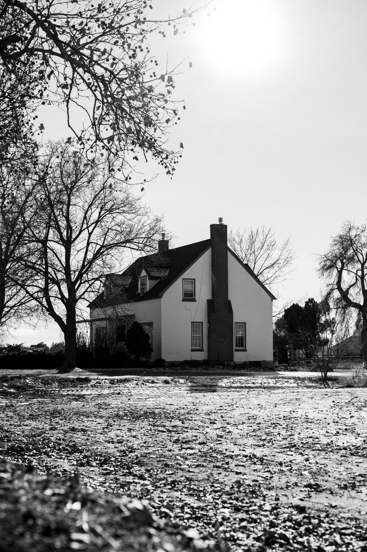 A Local's Guide to Falls Church, VA