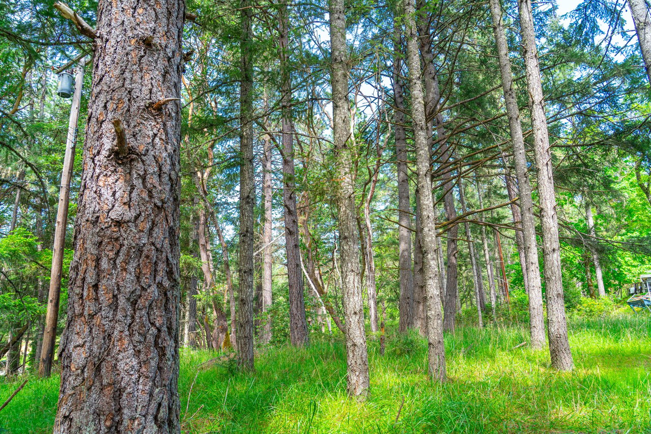 SUTHERLIN WOODLOTS