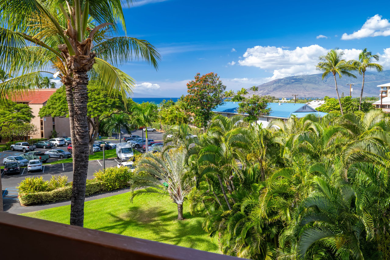 Maui Vista