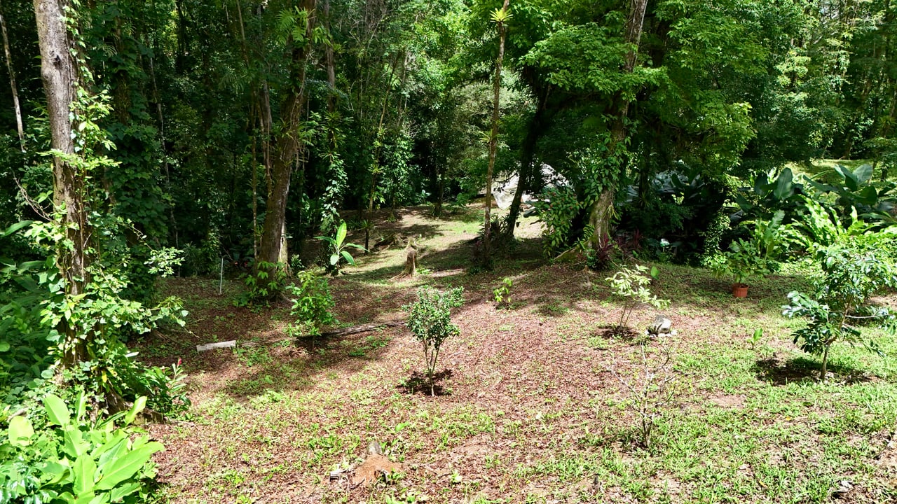 Fire Sale Investment Opportunity in Jardines del Morete | 2 Bed | 2 Bath Home with River Access