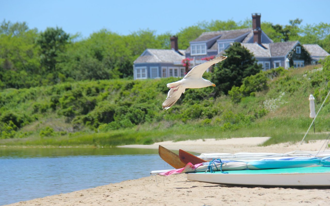 Surfside