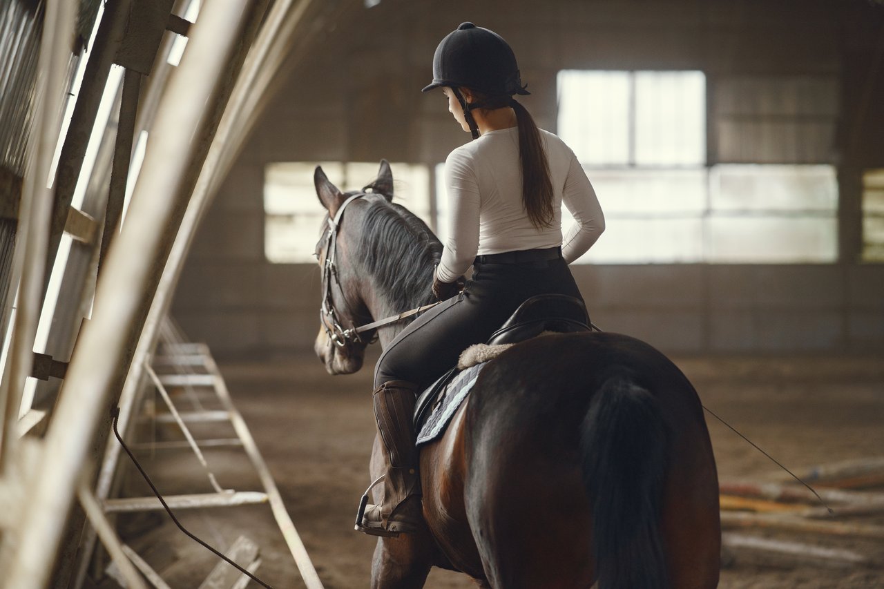 7 Wellington Neighborhood Features Horse Lovers and Families Both Notice