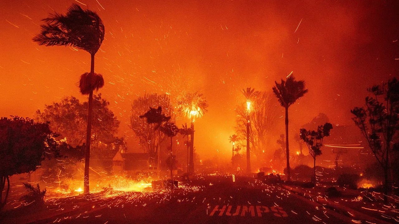 When Disaster Strikes