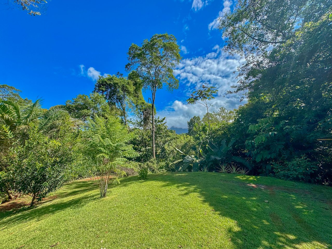 Jungle River Retreat with Airbnb & Build Space in Ojochal