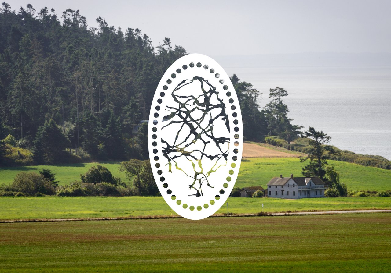 What Types of Homes Can You Buy in Coupeville?