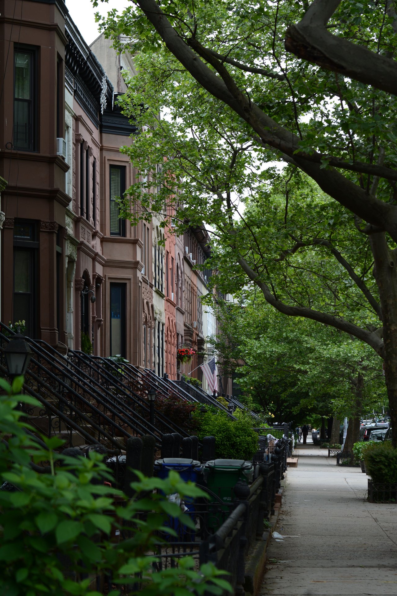 Butler Street Carroll Gardens Brownstones and Townhouses